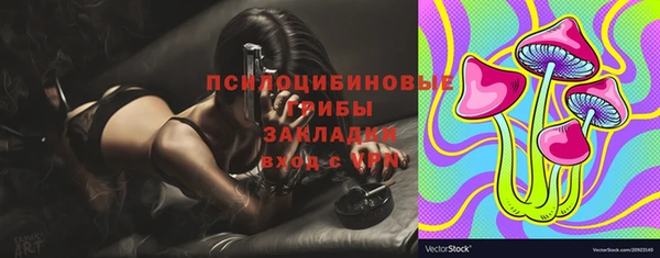 шишки Бугульма