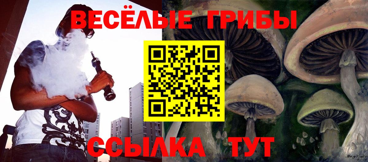 Гулькевичи  Псилоцибиновые грибы Magic Shrooms  Вход с VPN 