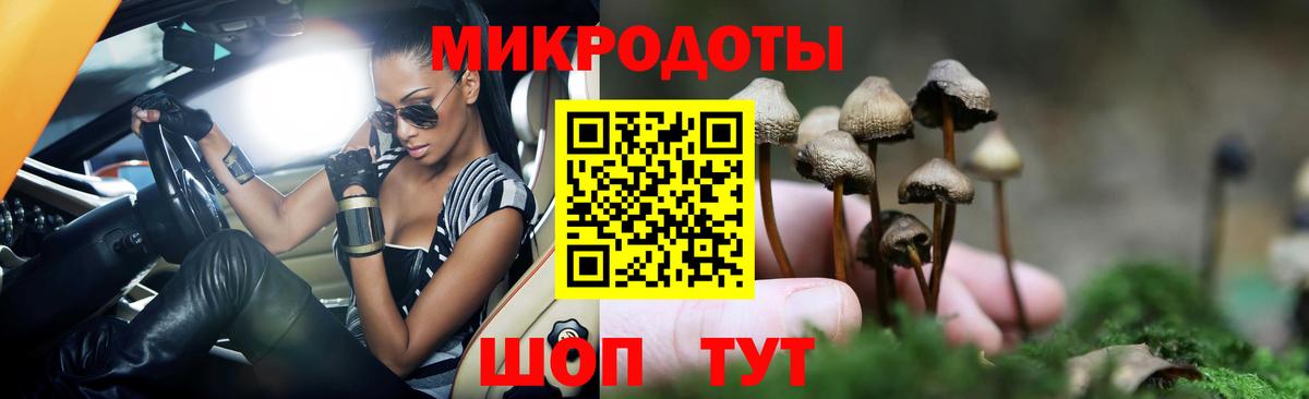 Псилоцибиновые грибы мухоморы Гулькевичи